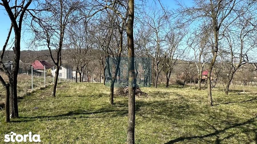 Casa din caramida cu anexa ?i teren 33 ari in Manau, Maramure? - 2