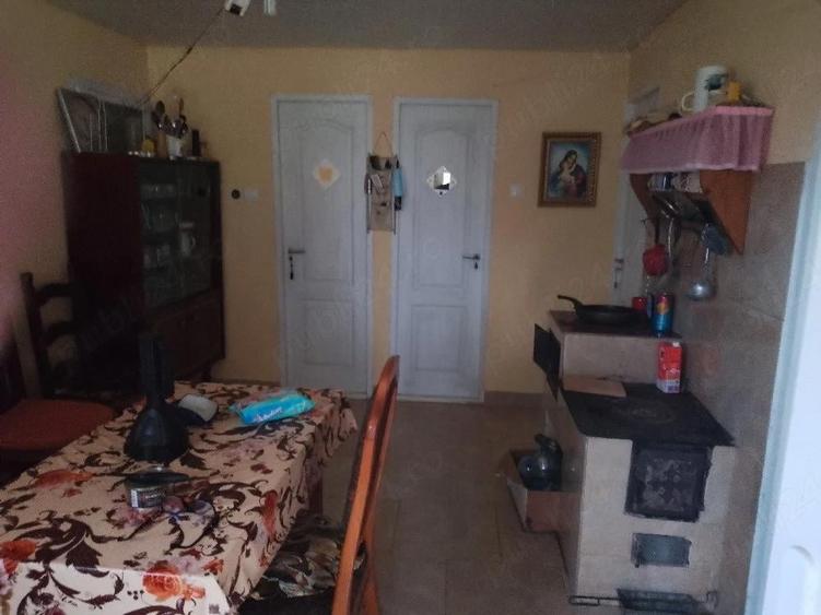 vand casa cu gradina - 4