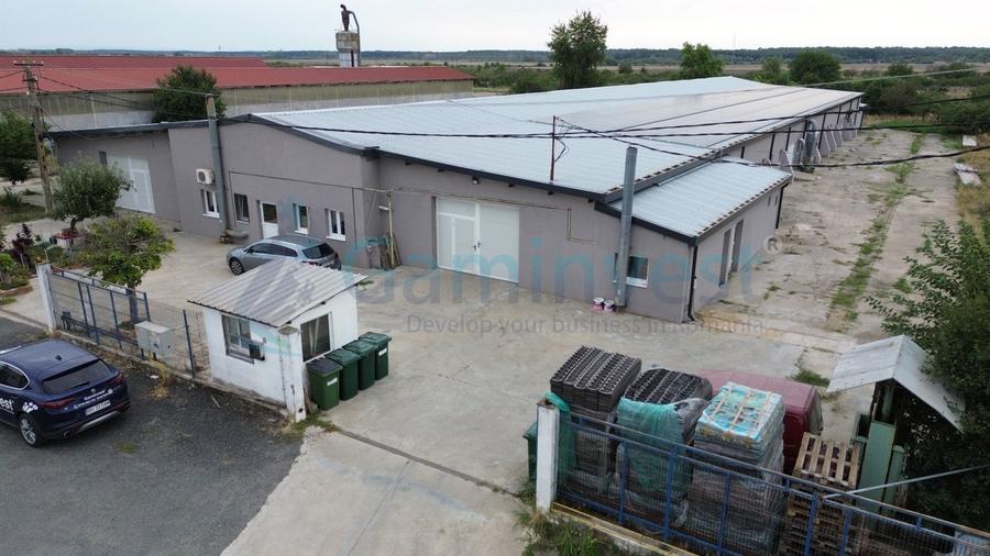 Gaminvest Hala industriala modernizată 2200 mp in Pecica, Arad,v4363 - 6