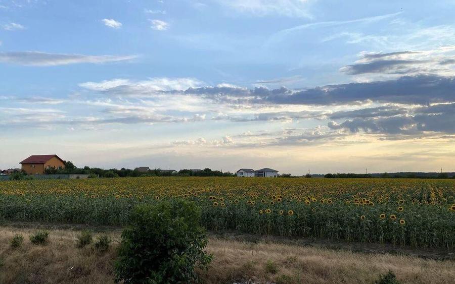 Tamasi, langa padure, 12.824 mp, deschidere 45 ml, teren ... - 4