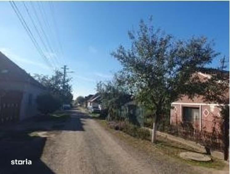 Cota 1/ 2 din casa si teren-loc. Pecica, jud. Arad - 5