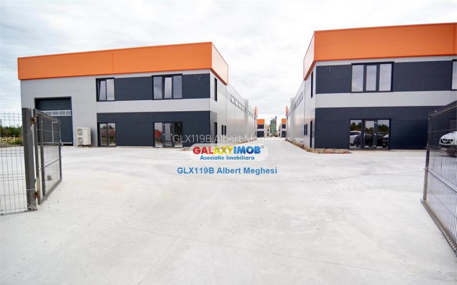 Hala 482 mp Chiajna Centura