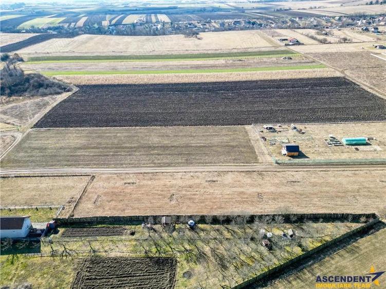 FILM! Liniste si aer curat in proximitatea Municipiului Sfantu Gheorghe - 7