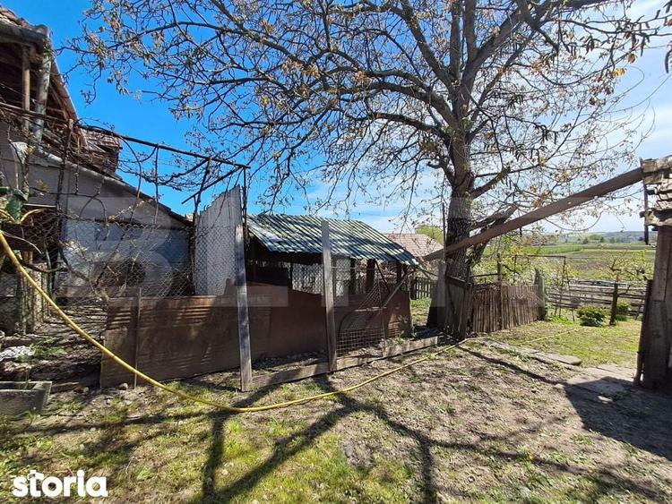 Nazna | Casa + 2900 mp teren - 5