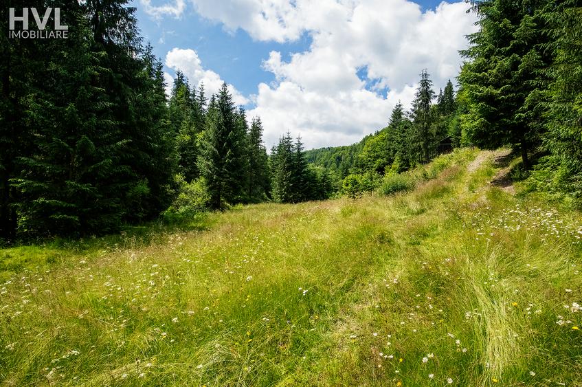 Teren curti constructii in Arieseni - 1