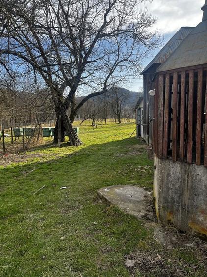 Teren, casa si anexe de vanzare, Viseu de Jos - 6