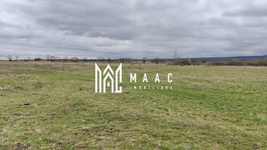 Teren extravilan I 2400 mp I Arabil I Teren drept I Cristian - 3