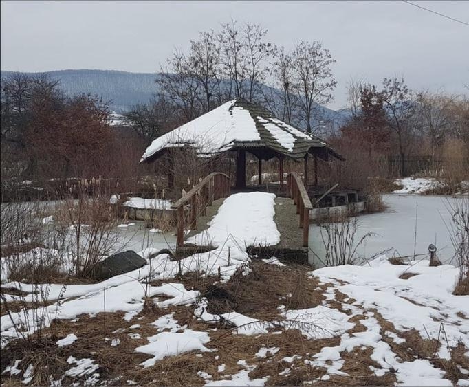 Teren intravilan 6500 mp | Parc Industrial Șieu-Măgheruș | Investiție strategică - 1