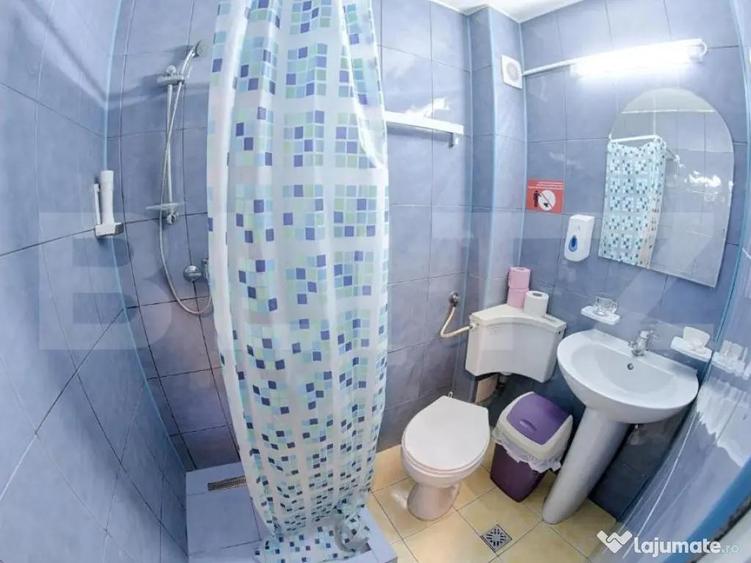 Afacere la cheie,Pensiune, Albert - 6