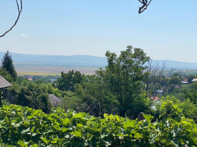 Teren 1000 mp si casa 75 mp vandut - 4