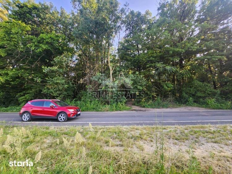 Oportunitate achizitie 2000 mp de teren intravilan - Greenfield - 3