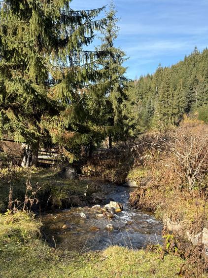 DIRECT PROPRIETAR Atractiv pentru pensiune/casa de vacanta): Teren de Poveste la Munte 6.000 mp Intravilan + 6.000 mp Extravilan,Dorna Arini-Ortoaia - 7