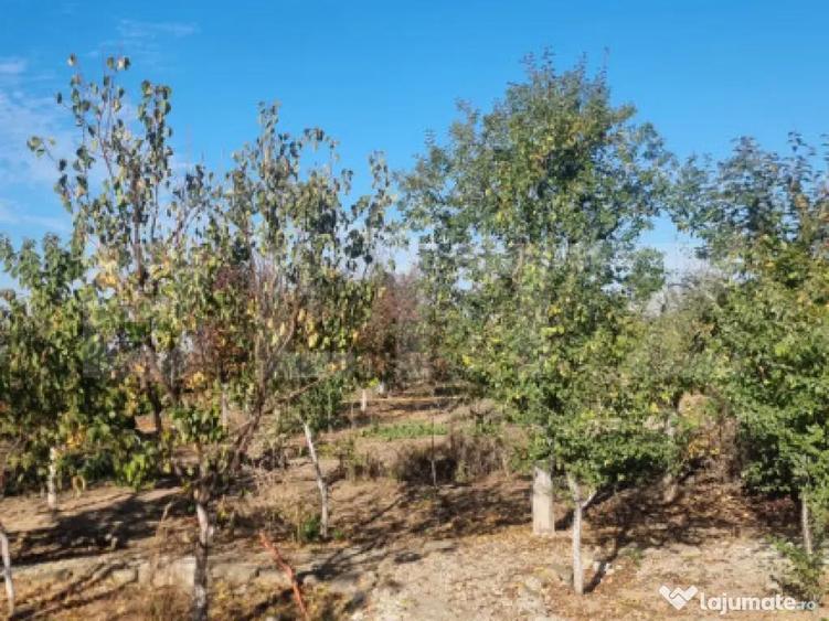 Casa-VILA deosebita ,mobilata plus toate facilitatile - 18