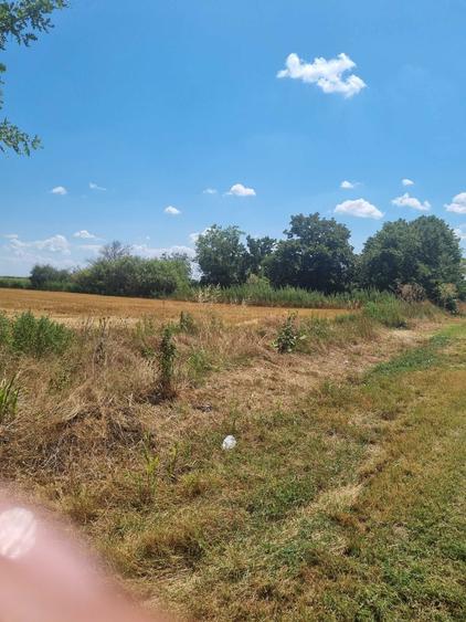 Teren 5000 m intravilan - 2