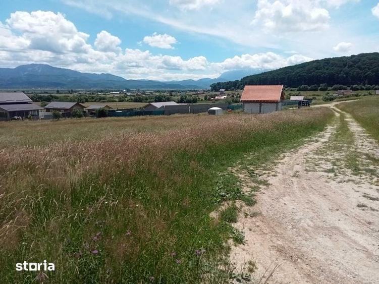 Teren 1580 m2 intravilan si casuta la rosu - 1
