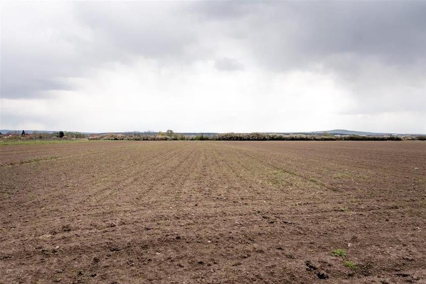 RECO . TEREN INTRAVILAN OSORHEI - 7