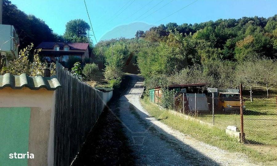 Teren 962.79mp Bujoreni / Strada Stejarului - 5