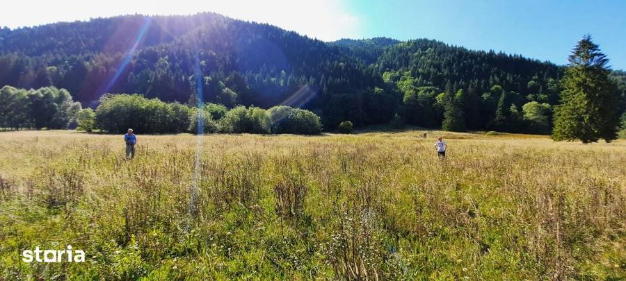 Teren Intravilan | Schitu Tarcau | 2089MP | Izvor | Platou - 15