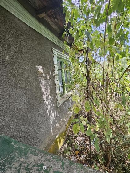 Gospodarie cu 2 case Comuna Trivale Mosteni, sat , la 30 km de Alexandria, jude?ul Teleorman 20 000 - 3