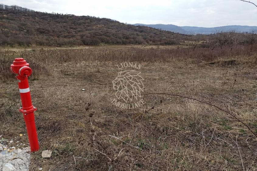 Teren intravilan 550 mp cu utilitati-ideal casa-Zona Valea Rusului - 1