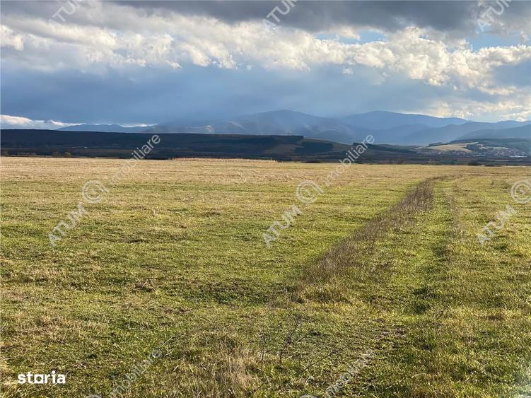 Teren de vanzare 564 mp in Sibiu pretabil investitie - 8