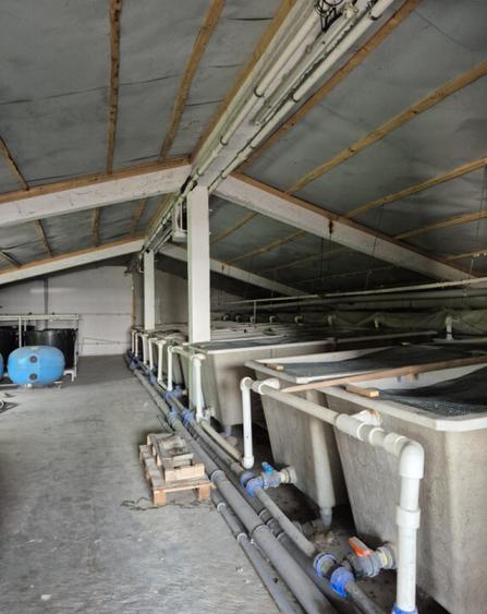 Casa Mizil, Prahova Sau schimb cu Pensiune Eforie - 13