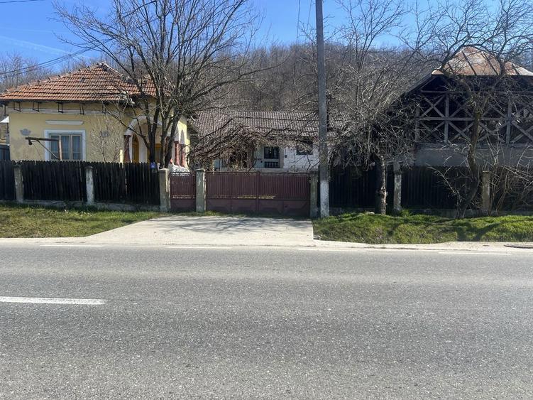 Vand gospodarie in comuna Galicea - 4