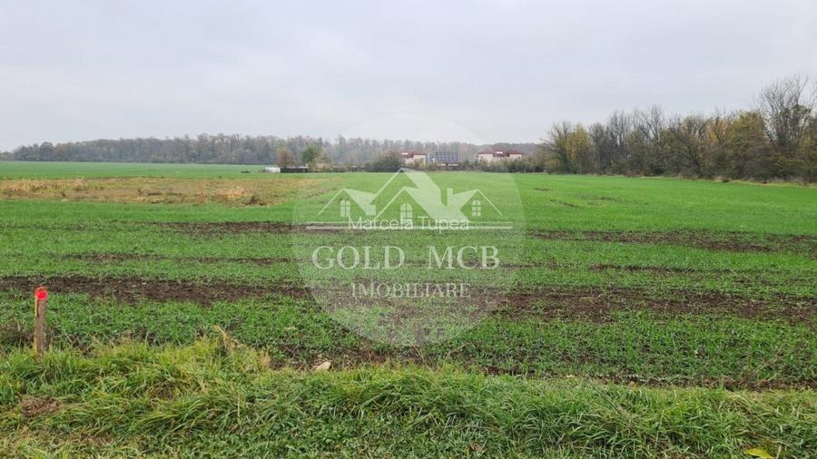 Teren Branesti -Romancierilor