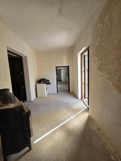 Cenad-Ultracentral-2 fronturi- Casa cu ahitectura deosebita - 14