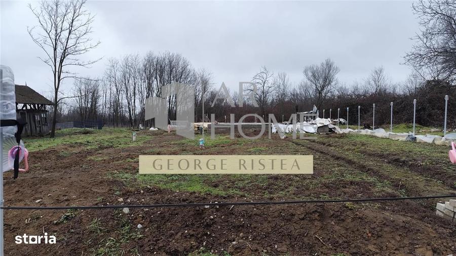 Vanzare 590 mp Teren+ Fundatie Casa Baicoi - 1