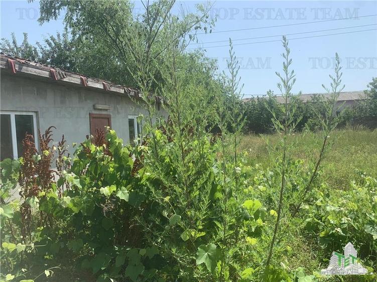 HALA INDUSTRIALA NAVODARI - 4