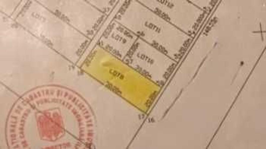 Vanzare teren 1000 m - 1