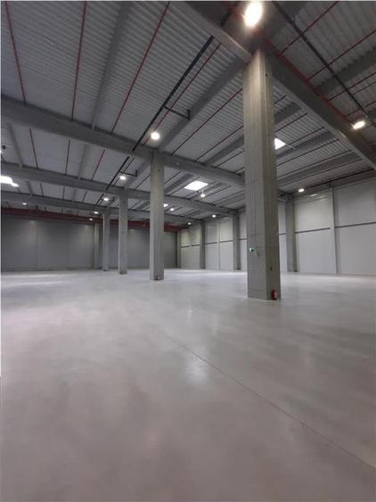 Spatiu Industrial - 5300 mp - Logistica - Productie - Depozitare - Distributie - 2
