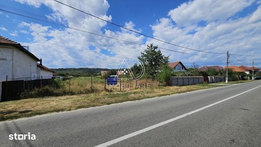 Teren de 3863 mp, în Turcinești
