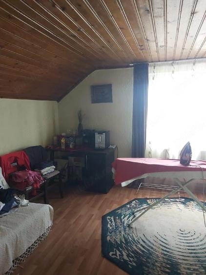 Vand Casa Palanca - 2