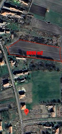 De vanzare teren + 4 case! Pret: 5 euro/m2 Suprafata totala: peste 20.000 m2 - 3