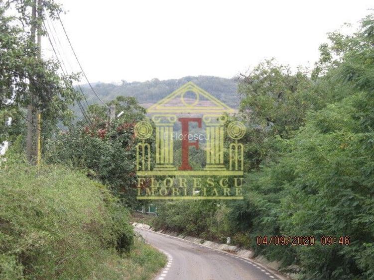 Teren intravilan  Tomesti!