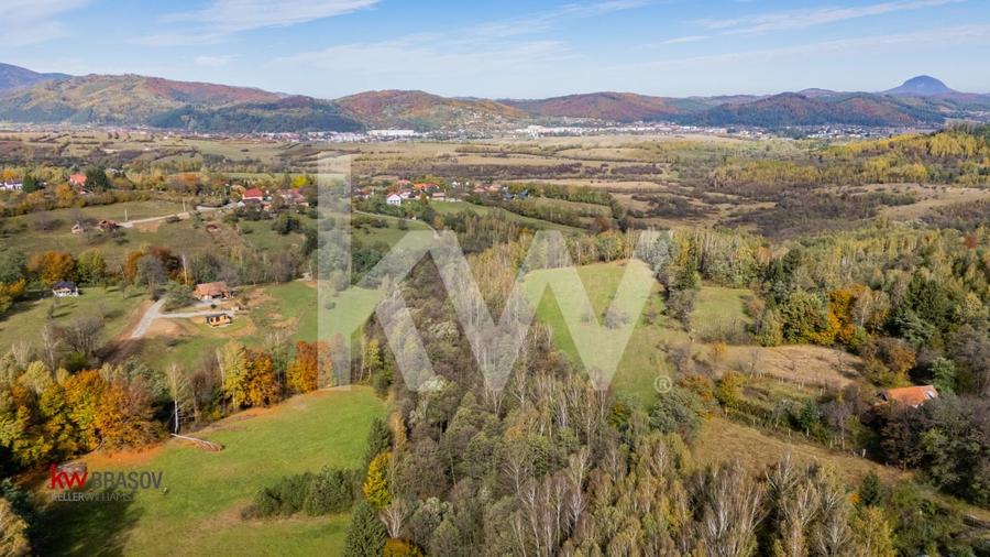 Vanzare teren intravilan 37723 mp Zarnesti Tohanita - 9