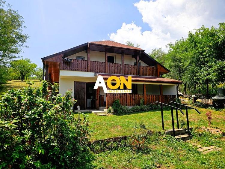 Casa tip cabana de vacanta, 5 camere, 2300 mp teren, zona Schit - 1