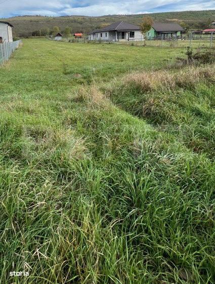 Teren de Vanzare, foarte aproape de Crama Jelna - 3