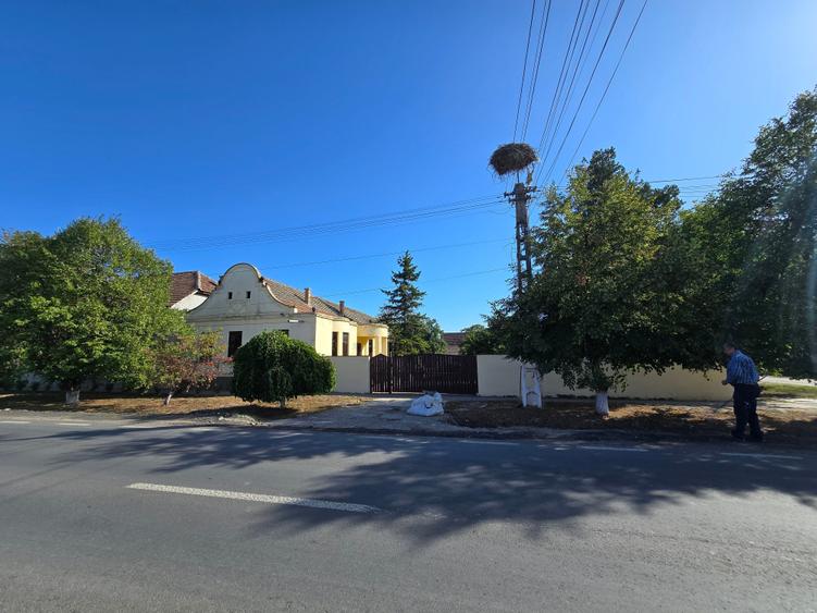 Cenad-Ultracentral-2 fronturi- Casa cu ahitectura deosebita - 20