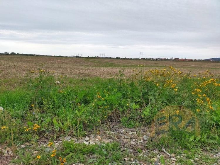 Teren Osorhei, Str. 610 - 6