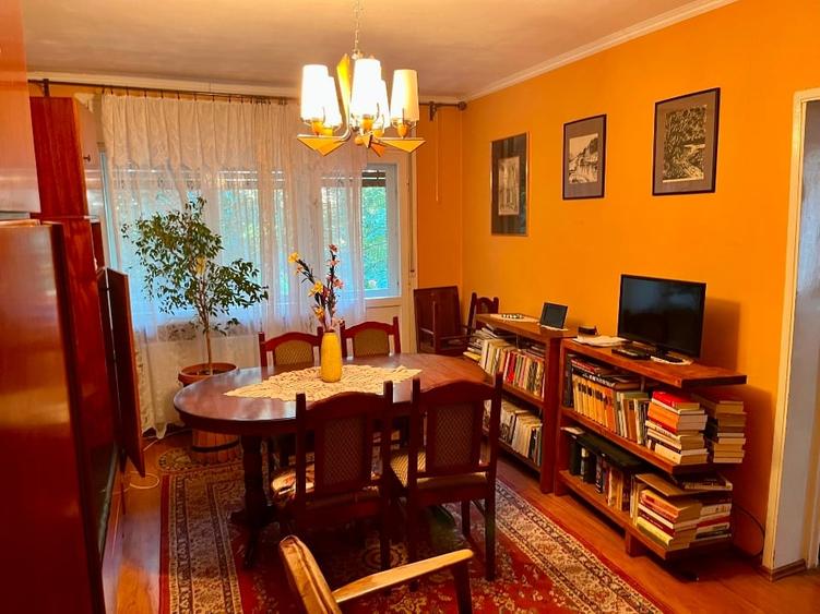 Apartament 3 camere de vânzare zona Careiului - 2