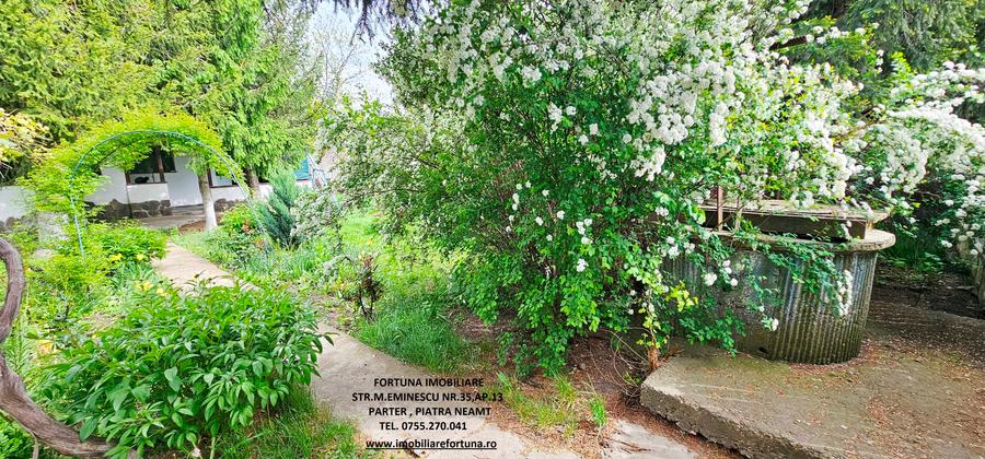 Casa la pret de apartament si teren 2358 mp, com .Girov - 17