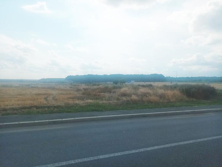 Teren Intravilan Constructii de 12.300 mp, Cu Deschidere la Sosea Asfaltata - 17