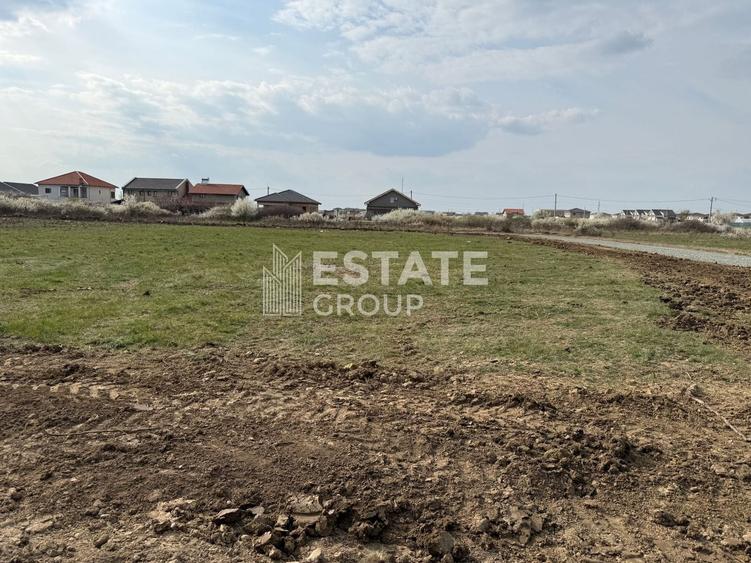 Mosnita Noua, front stradal 22 ml - 1