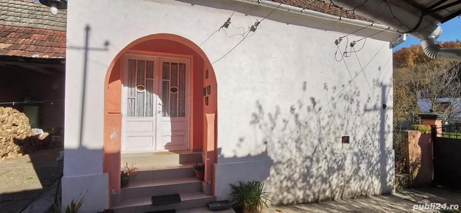 Casa de vanzare comuna Barzava Arad - 4