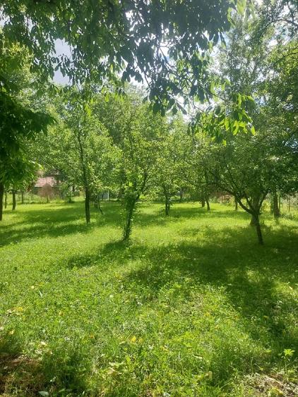 Teren de 1000 mp, în Podul Lung