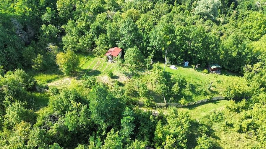 Casă cu Teren 1500 Mp în Lunca Mare