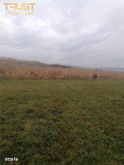 Teren de 2900 mp, în Baciu